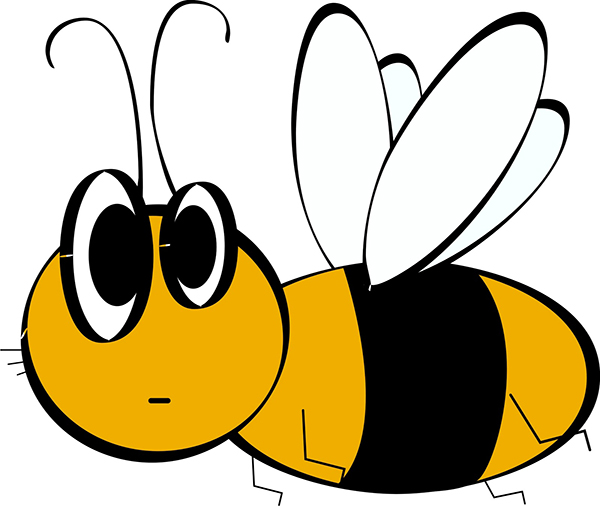 bee600x506