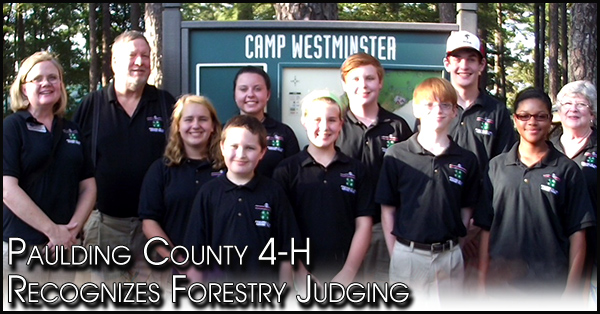 4H forest 600x314