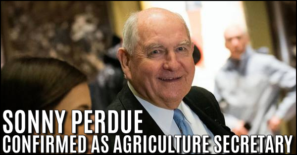 perdue 600x314