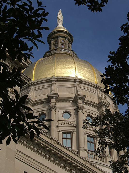 dome533