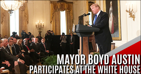 mayor 600x314