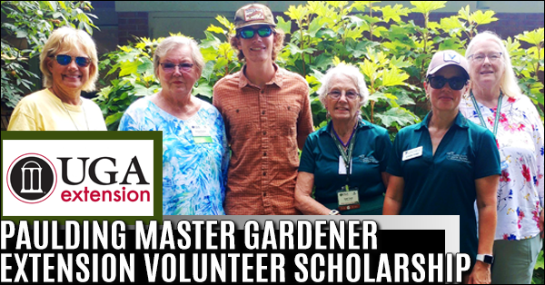 Extension Scholarship 600x314